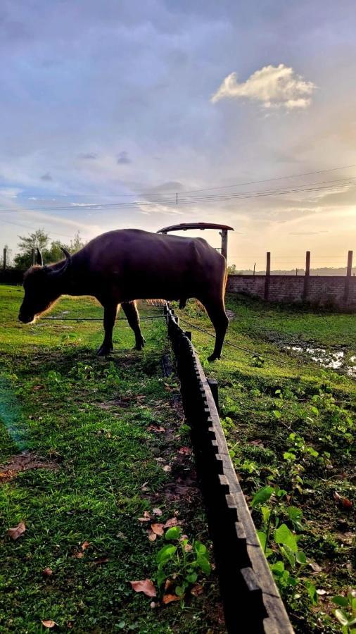 Pousada Marajoara- Hotel Fazenda-Turismo De Aventura Soure Eksteriør bilde