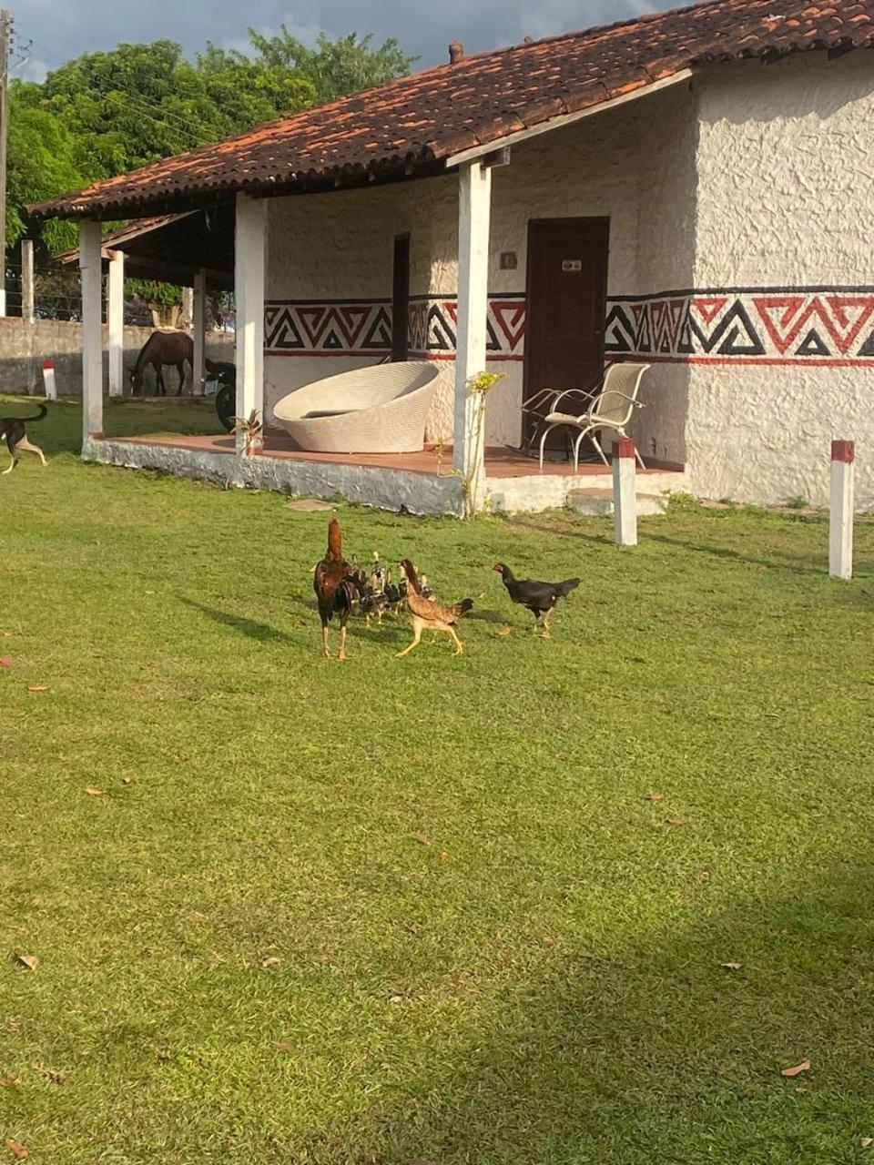 Pousada Marajoara- Hotel Fazenda-Turismo De Aventura Soure Eksteriør bilde